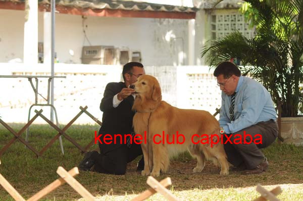 Clique sobre a foto para fechar